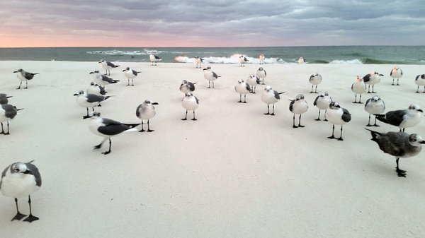 Wie kann man die Mitarbeiterentwicklung durch gezielte Schulungsprogramme fÃ¶rdern?