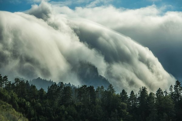 Wie kann die KI-gestützte Analyse von Wetterdaten zur Planung von Outdoor-Veranstaltungen beitragen?